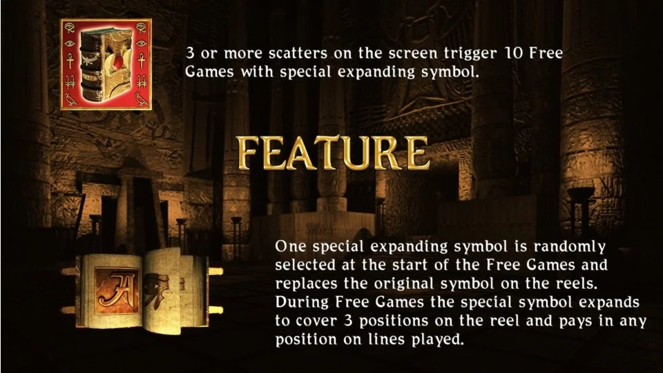 Book of Ra Deluxe feature info screen explaining 3 scatters trigger 10 free games with special expanding symbol